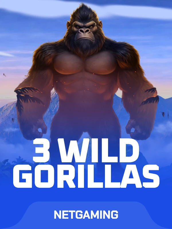 3 Wild Gorillas
