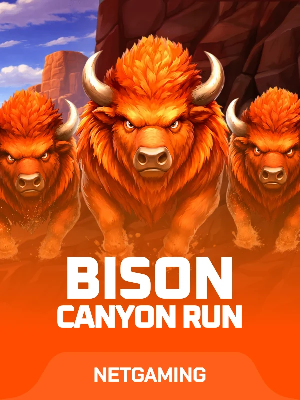 Bison - Canyon Run