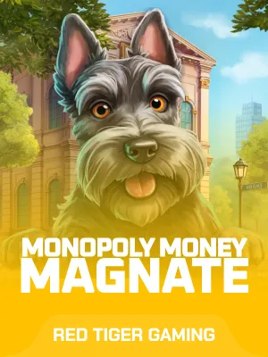 Monopoly Money Magnate