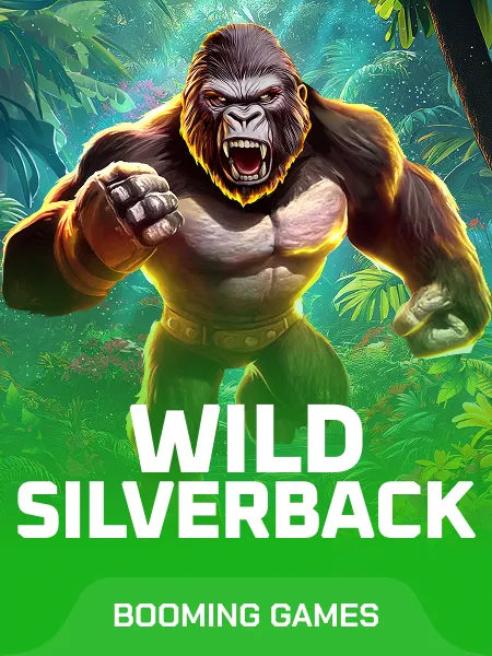 Wild Silverback